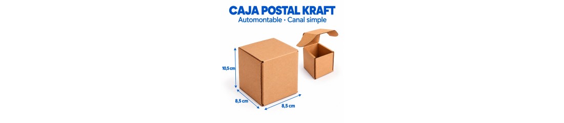 8.5x8.5x10.5 cm. Cajas Postales automontables